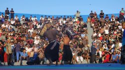 Peresean Bupati Cup II 2026, Sedot Ribuan Pengunjung di Ke Taman Kota, Lombok Barat