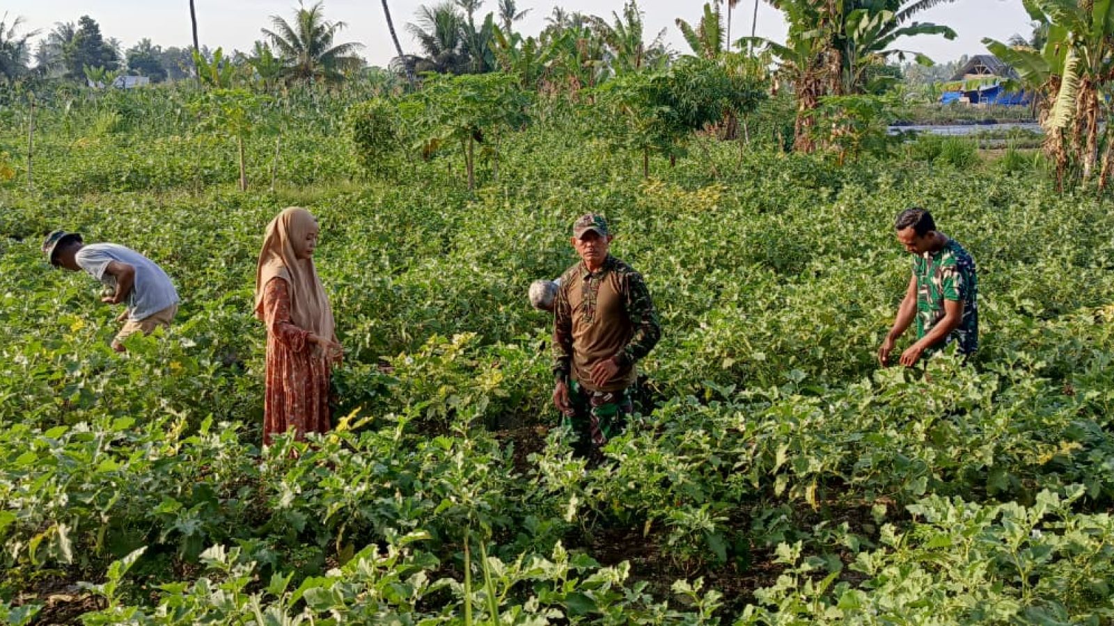 TNI Manunggal Membangun Desa, Petani Lombok Timur Diedukasi Bahaya Narkoba