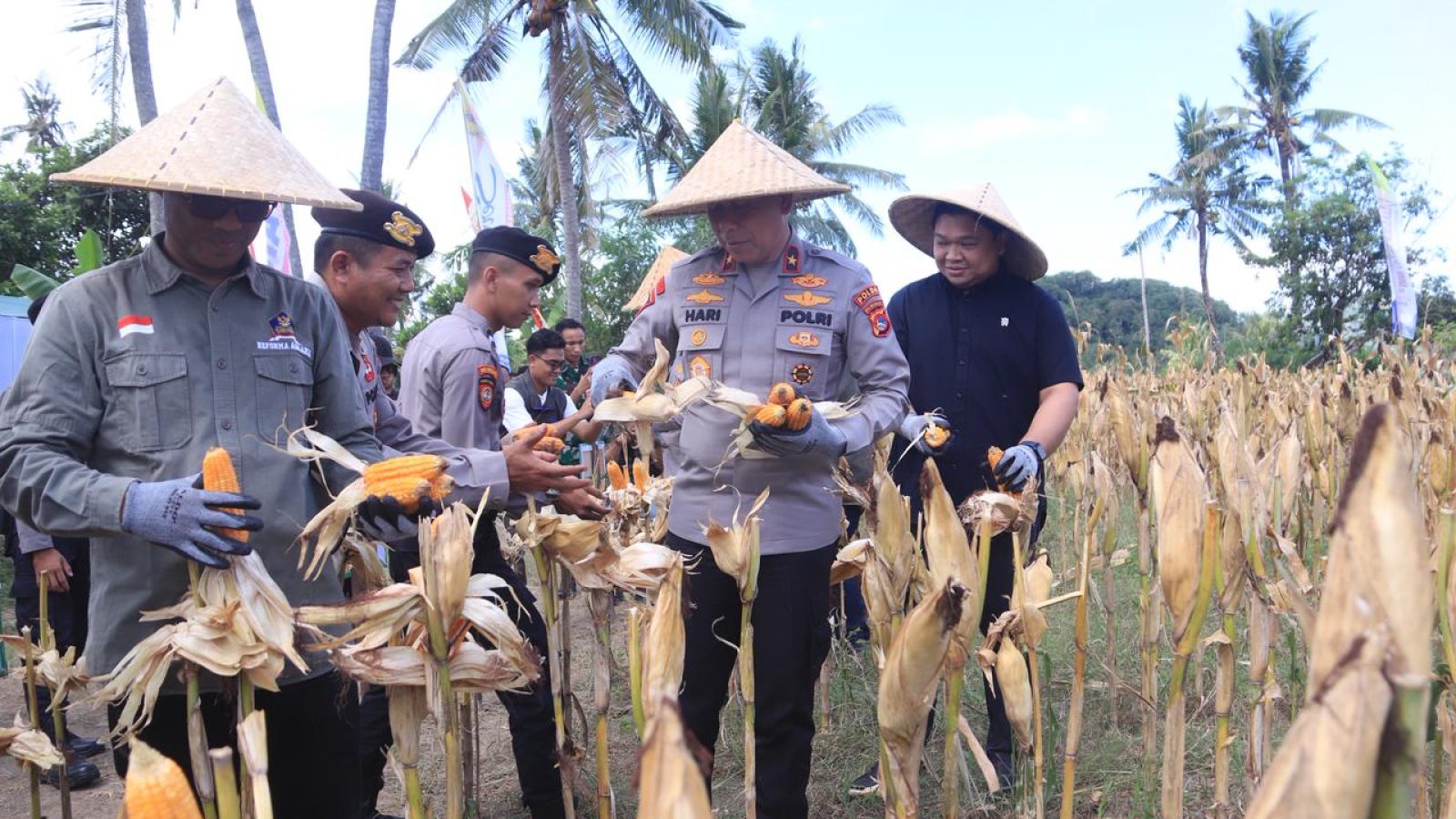 Polda NTB Gelar Panen Raya Jagung Serentak, Dukung Ketahanan Pangan Nasional