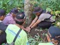 Bukan Sekadar Menanam Pohon, Kapolsek Bayan Bersama Relawan dan Masyarakat Adat Hijaukan Hutan 