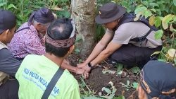Bukan Sekadar Menanam Pohon, Kapolsek Bayan Bersama Relawan dan Masyarakat Adat Hijaukan Hutan 