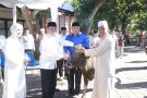 Polda NTB Sembelih Ratusan Hewan Kurban
