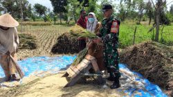 Dekat dengan Petani, Cara Babinsa Merembu Dukung Peningkatan Produksi Pangan Nasional