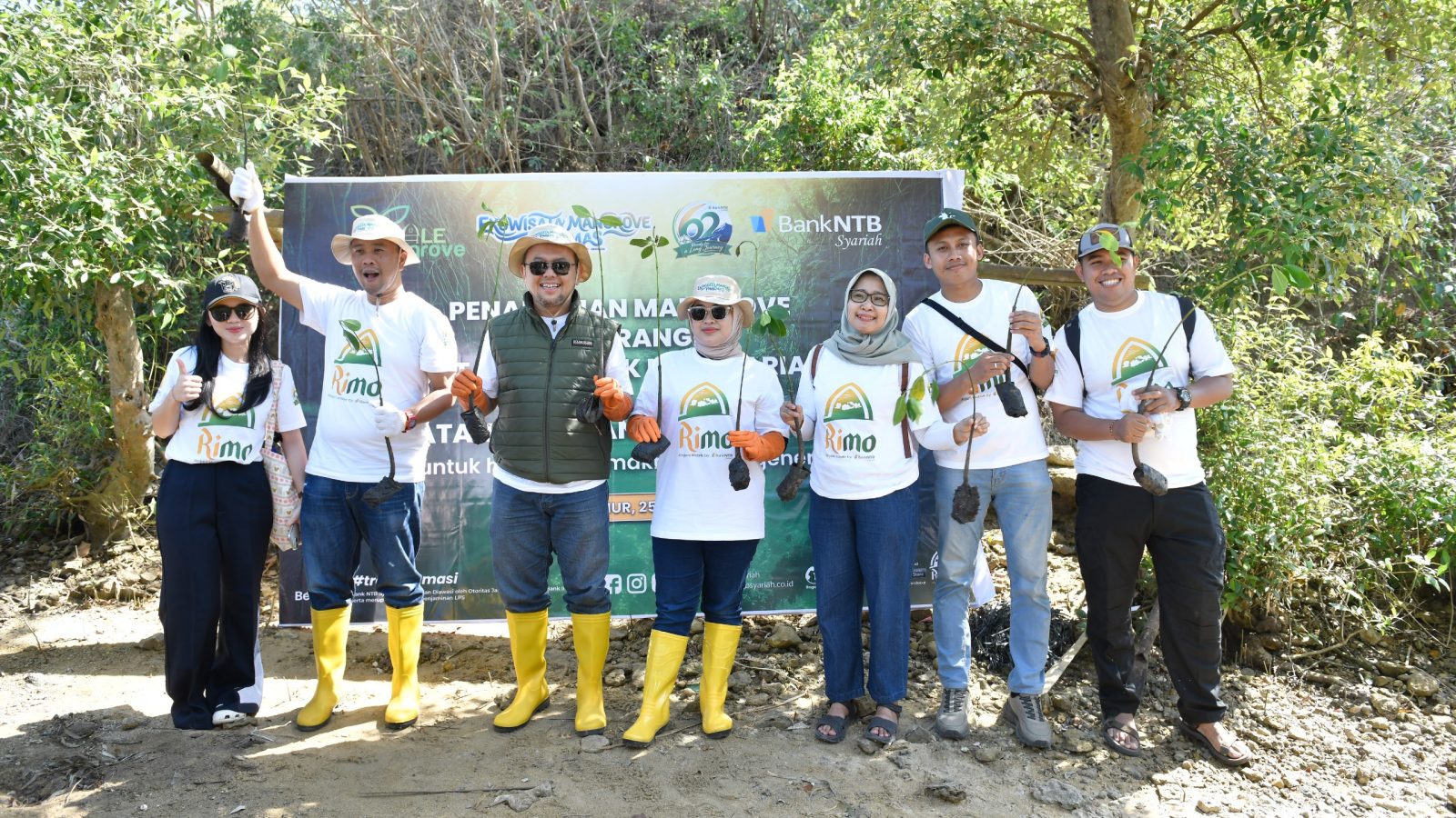 Peringati Hari Mangrove Sedunia dan HUT ke-62, Bank NTB Syariah Tanam Mangrove di Kawasan Ekowisata Paremas