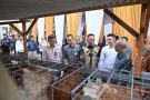 Dukung Program Desa Berdaya NTB, Bank NTB Syariah Salurkan Bantuan Budidaya Ayam Petelur untuk Masyarakat Desa Lendang Nangka Utara