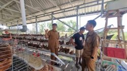 Desa Berdaya Iqbal-Dinda, dari Bantuan Menuju Kemandirian